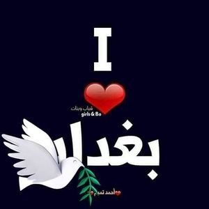 Meet your Posher, Jalila